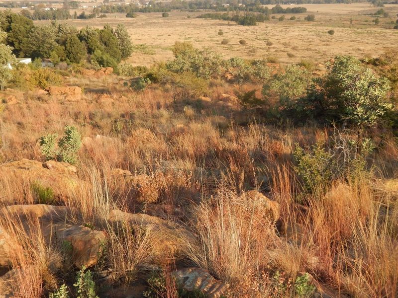 Be at the peak of the Boschfontein plateau