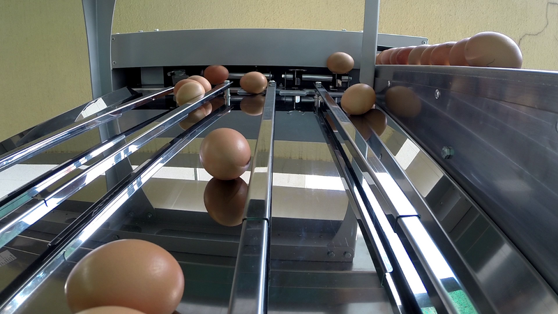 Egg grader ES150
