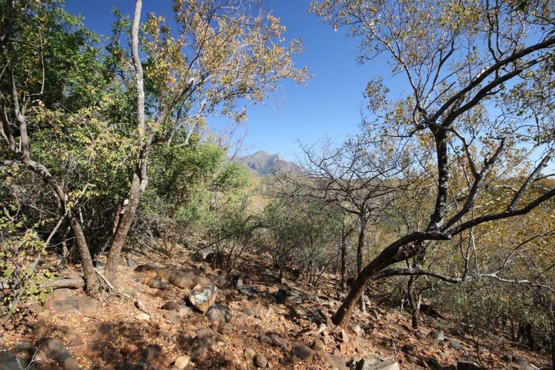 Vacant Land in CANYON GAME RESERVE