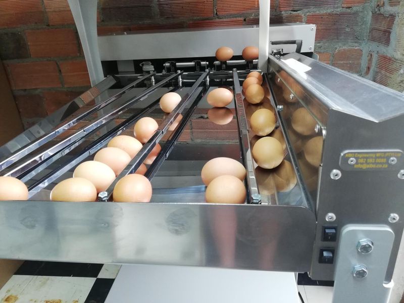 Egg grader ES150