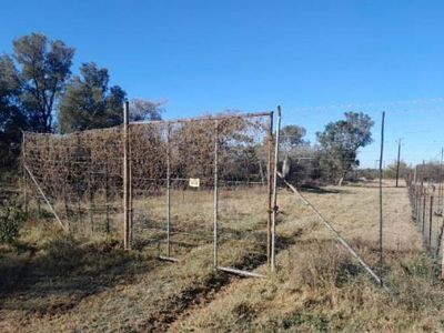 Land Land For Sale Limpopo