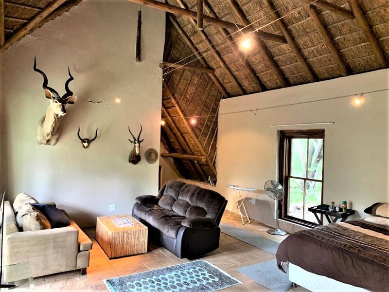Own A Home In The Bush or turn it into a Guest Lodge...