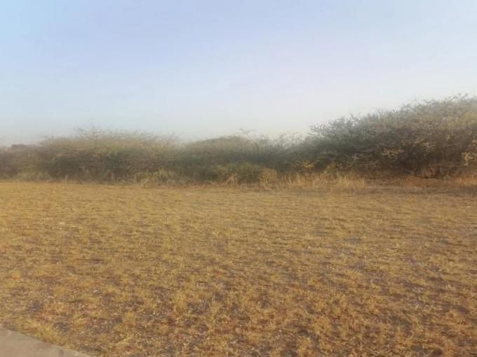 Land Land For Sale Limpopo