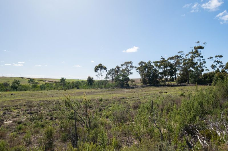 10Ha Vacant Land For Sale in Napier