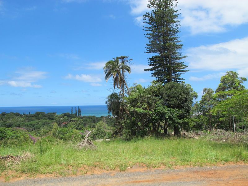 Vacant land with sea views