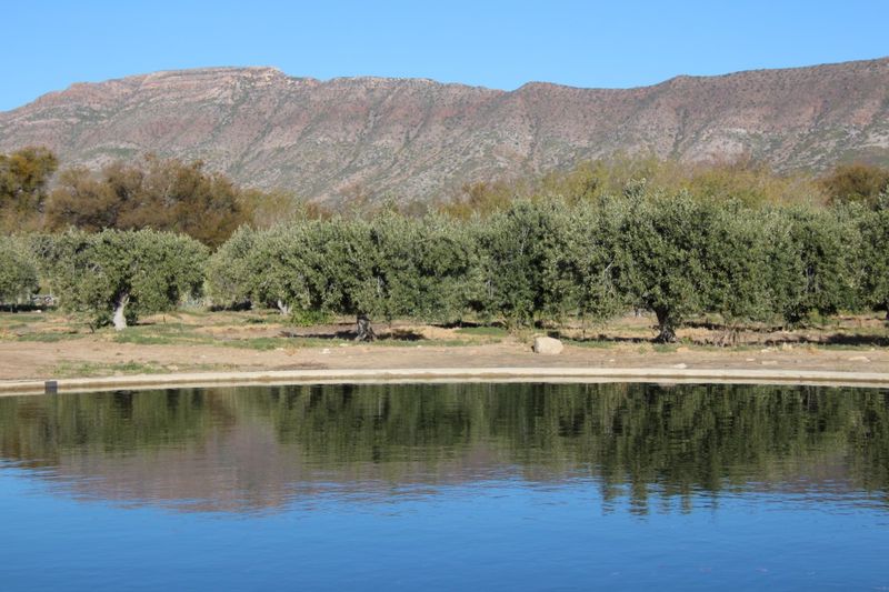 PRINCE ALBERT: Karoo farm experience