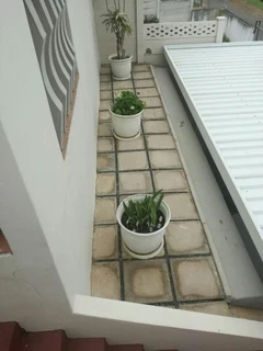 Spacious Family Home