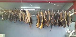 FULLY EQUIPT BUTCHERY . VERY WELL ESTABLISHED.  31 YEARS UP AND RUNNING.  LOJAL CLIENT BASE.