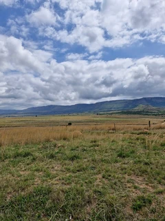 Farm land for sale perfect for grazing