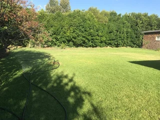 3 Bedroom house for sale in Hennenman