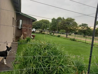 LARGE  PROPERTY.  VACANT LAND NEXT TO IT FOR ANIMALS.  TWO STRONG BOREHOLES. BEAUTIFUL GARDEN.