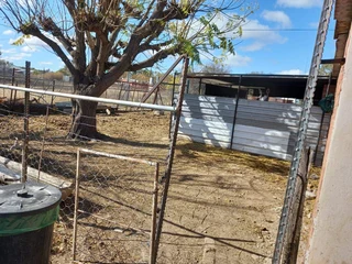 LARGE  PROPERTY.  VACANT LAND NEXT TO IT FOR ANIMALS.  TWO STRONG BOREHOLES. BEAUTIFUL GARDEN.