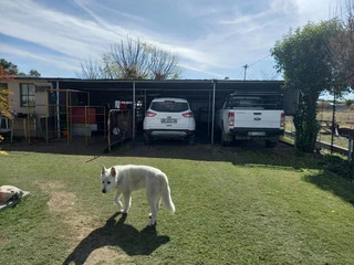 LARGE  PROPERTY.  VACANT LAND NEXT TO IT FOR ANIMALS.  TWO STRONG BOREHOLES. BEAUTIFUL GARDEN.