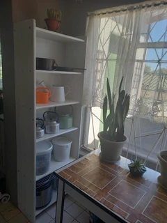 LARGE  PROPERTY.  VACANT LAND NEXT TO IT FOR ANIMALS.  TWO STRONG BOREHOLES. BEAUTIFUL GARDEN.