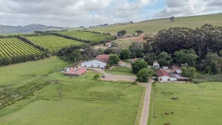 Farm for Sale in Stellenbosch Farms