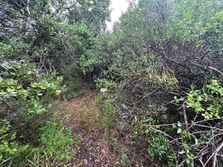 Beautiful Large Vacant Stand in Phase Two close to lagoon