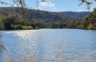 PRIME 1-HECTARE STAND FOR SALE IN INTABA-INDLE WILDERNESS ESTATE, BELA BELA