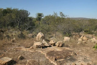 Stand for sale on Lissataba nature reserve.