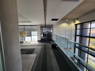 THE POINT BUILDING | JAN SHOBA STREET | BROOKLYN