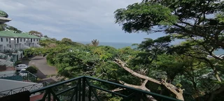 Tranquil Coastal Forest Estate
