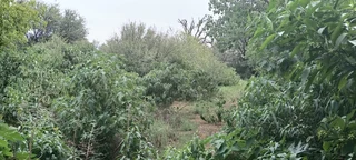 DESIGN YOUR OWN MILTIFARIOUS DUBBELSTORY HOUSE. STRONG WATER. LARGE WOKSHOP. VIEW  TO PLAN.