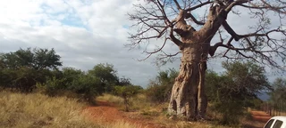 WildlifeEstate in Waterpoort For Sale