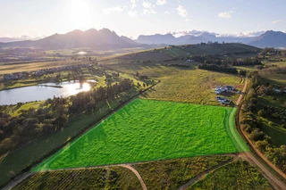 Secure Homestead Living Overlooking Rolling Stellenbosch Hills