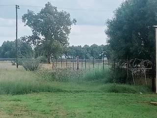 A vacant land for sale in Petrusburg for only R220 000