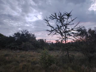 6,4 Ha Vacant Land in Rietfontein near Rayton