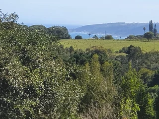 Prime Plot with Stunning Ocean Views – A Rare Opportunity in Hoekwil!