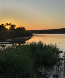OWN A PIECE OF UNTOUCHED BUSHVELD AT RUST DE WINTER CONSERVANCY