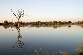 Discover Ditholo Wildlife Estate – Your 1.8 ha Bushveld Sanctuary