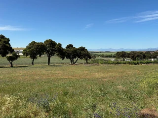 FULL NORTH FACING PLOT NEXT TO THE GREENBELT