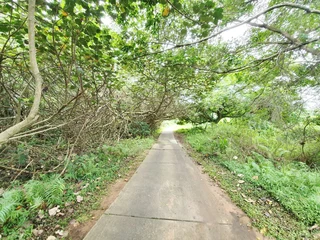 0 sq. meter Vacant Land Residential in Zimbali Estate For Sale