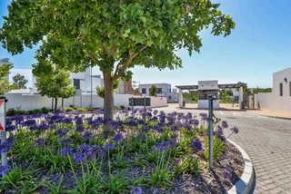 Vacant Land For Sale in Croydon