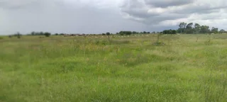 8.5 hectare Farm For Sale In Vanderbijl Park | Stefano park