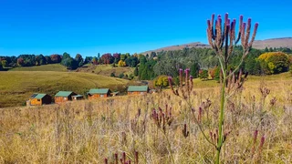 Tin Can Farm
