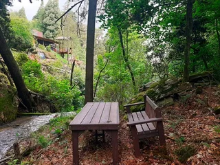 Tranquil Living on 3.9ha in Scenic Hogsback, Eastern Cape!