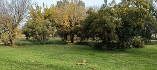 TOTALY OFF GRIDD SMALL FARM. RENTAL INCOME.  ENDLESS POTENTIAL.