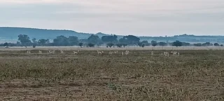 TOTALY OFF GRIDD SMALL FARM. RENTAL INCOME.  ENDLESS POTENTIAL.