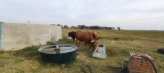 TOTALY OFF GRIDD SMALL FARM. RENTAL INCOME.  ENDLESS POTENTIAL.