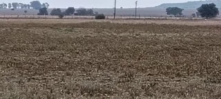 TOTALY OFF GRIDD SMALL FARM. RENTAL INCOME.  ENDLESS POTENTIAL.