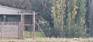 TOTALY OFF GRIDD SMALL FARM. RENTAL INCOME.  ENDLESS POTENTIAL.