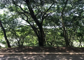 Prime Position with Scenic Views - Simbithi Golf Estate