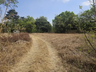 VACANT STAND FOR SALE IN EASTLEIGH, EDENVALE.