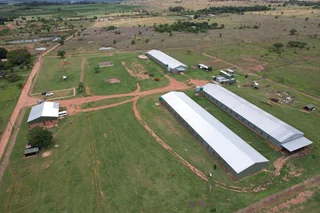 Profitable Layer Farm for Sale in Vastfontein – Turnkey Investment!