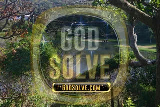 Single Room, Nature Lovers Dream. Overlooking Umbilo Birdlake Sanctuary. Godsolve Rooms