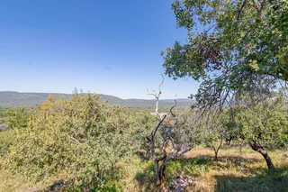 Own a Slice of Untouched Bushveld Paradise – Tembi Game Farm, Waterberg Region