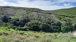 Live with nature in the beautiful Dana Bay