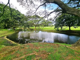 Your Dream Home Awaits – Tranquil Living with Stunning Views